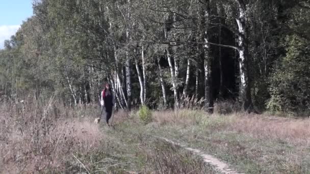Mladá žena jde Nordic walking venku - Záběry, video