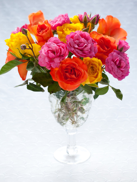 Multi-colored roses - Φωτογραφία, εικόνα