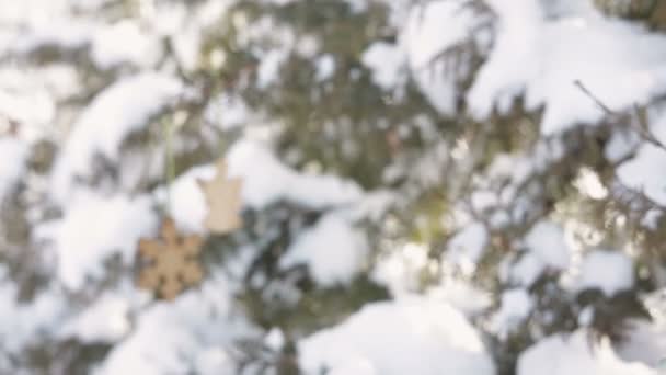 hermosa mujer de Navidad decora un árbol de piel en madera de invierno
 - Imágenes, Vídeo
