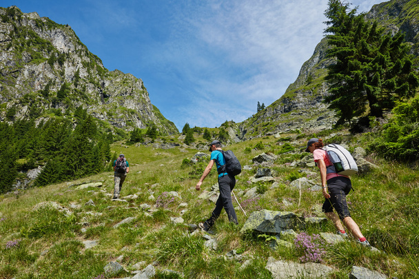 hikers on a trail in the mountains - Foto, Imagen
