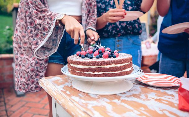 Woman cutting naked chocolate cake in a summer party - Photo, Image