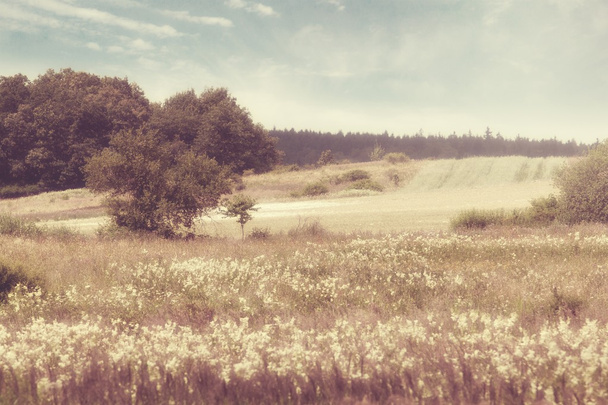 Красивий краєвид з полями і пагорбами вінтажний стиль
 - Фото, зображення