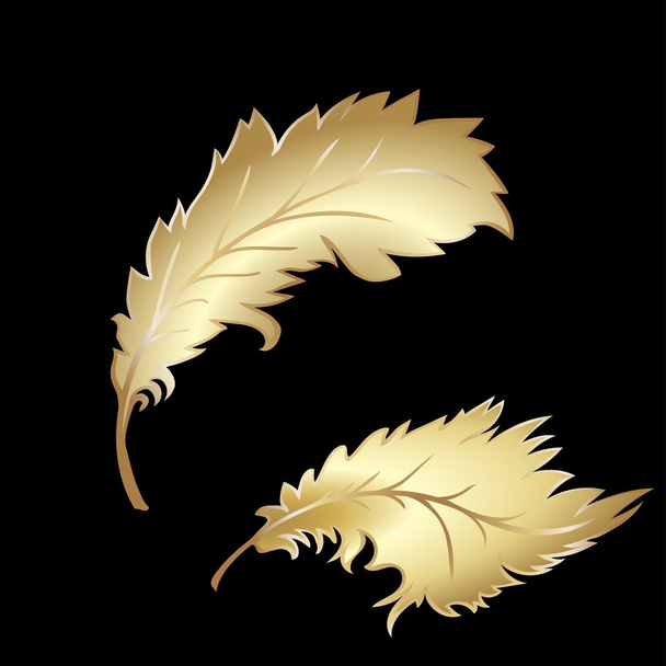 decorative Feather - Wektor, obraz