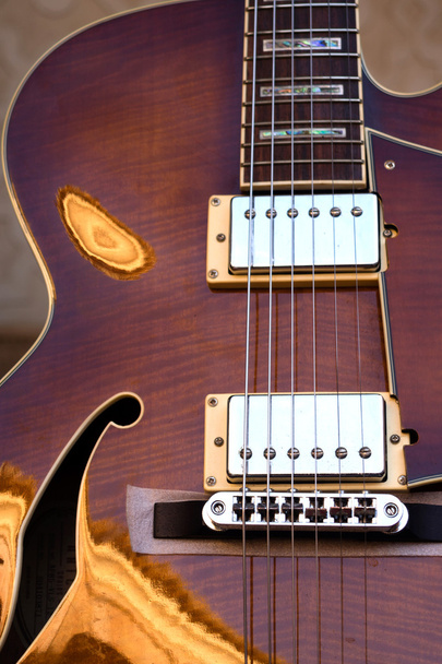 体電気ギターの弦 - 写真・画像