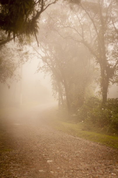 Foggy vintage road in Paranapiacaba - Photo, Image