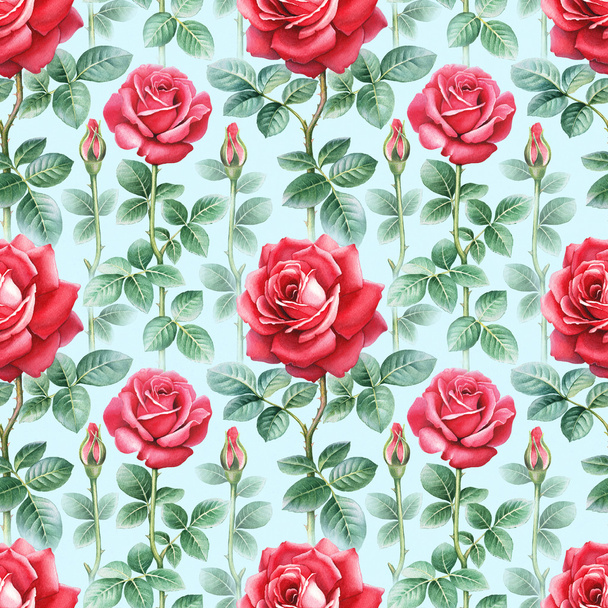 Watercolor rose flowers illustration. Seamless pattern - Foto, immagini