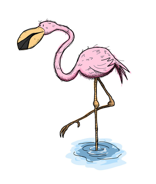 Flamingo - Vektor, Bild