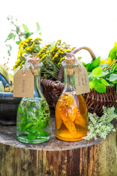 Healthy tincture with alcohol and herbs - Φωτογραφία, εικόνα
