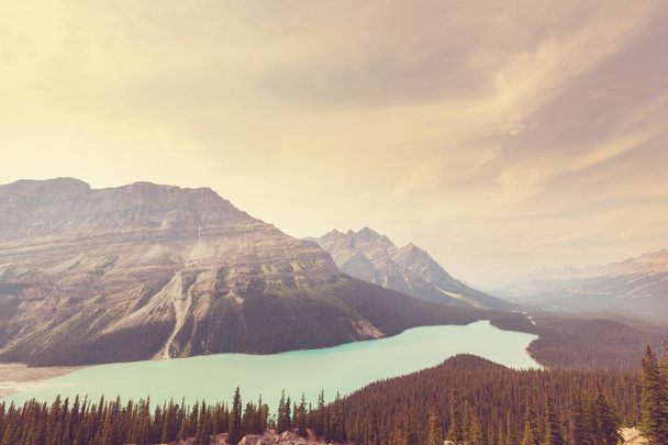 Jezioro Peyto w Parku Narodowym Banff - Zdjęcie, obraz
