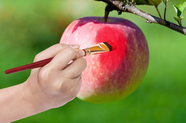 peinture au pinceau pomme mûre rouge dans le jardin
 - Photo, image