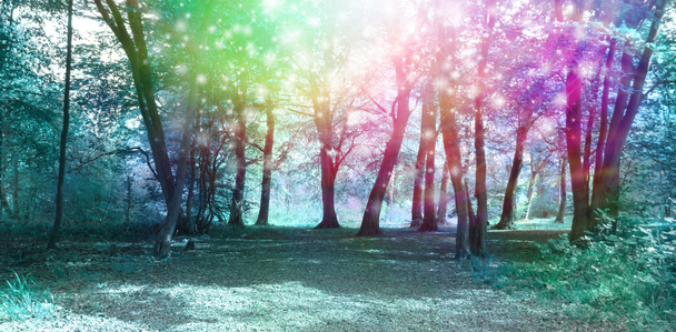 Волшебный духовный лесной энергетический фон - Фото, изображение