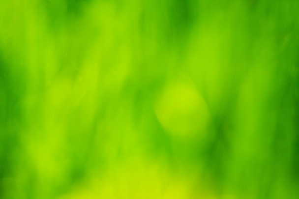 színes zöld fű - Fotó, kép