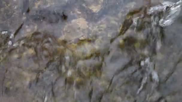 Abstracte achtergrond textuur met levendige uitgevoerd en kabbelend water - Video