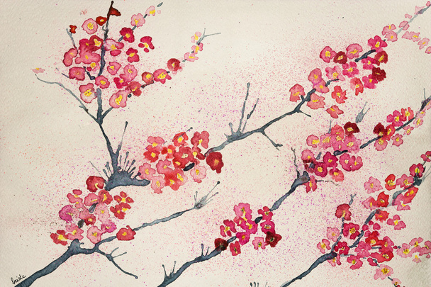 Cherry blossoms on a tinted background - Foto, imagen