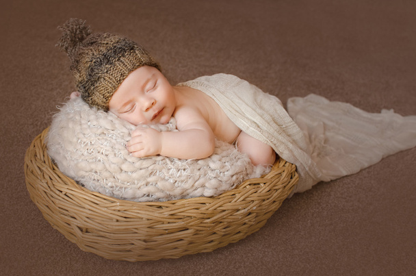 ふっくら赤ちゃんかごで眠る - 写真・画像