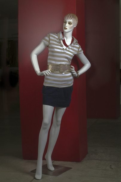 Mannequin with clothes shirt and pants of young - Фото, зображення
