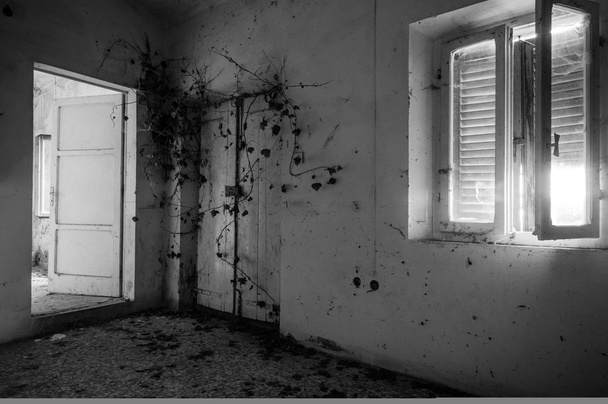 abandoned house - Photo, Image