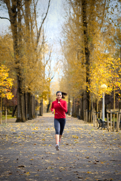 Woman running in autumn park - Foto, Imagen