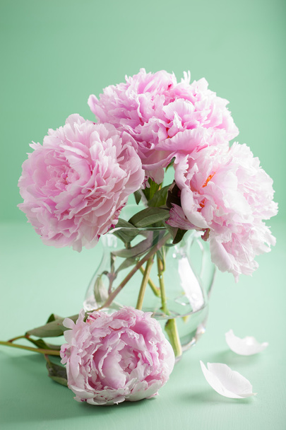 beautiful pink peony flowers bouquet in vase - Фото, изображение