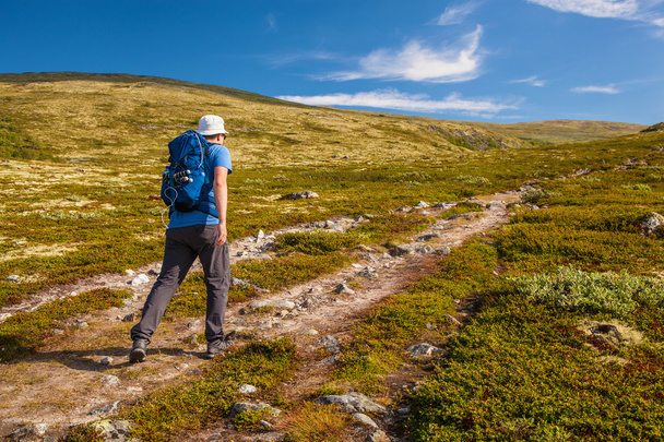 hiker with backpack traveling in Norway mountains Dovre - Foto, Imagen