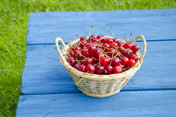 Ripe cherries in wicker basket on blue table - Photo, Image