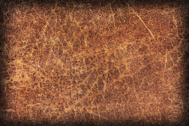 Régi természetes barna marhabőr Creasy durva matrica Grunge textúra minta - Fotó, kép