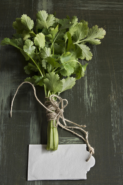 Kytice z čerstvého koriandru nebo koriandr, cenovky na zelený dřevěný - Fotografie, Obrázek