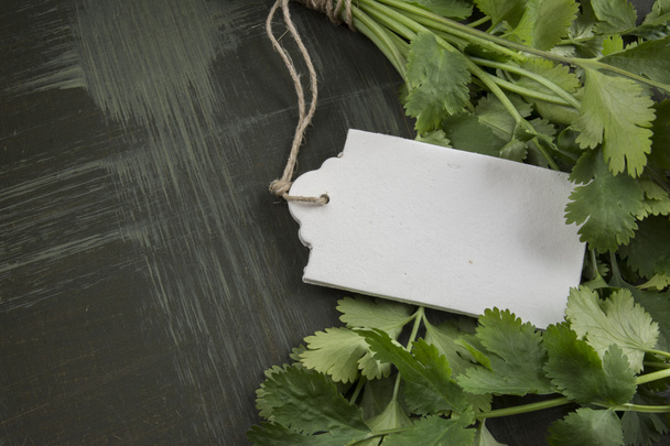 букет зі свіжого коріандру або кінзи, цінова мітка на білому вусі
 - Фото, зображення