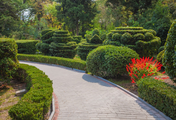 Όμορφο κήπο με φράκτες - Φωτογραφία, εικόνα