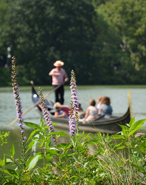 Květiny v Central parku lake - Fotografie, Obrázek