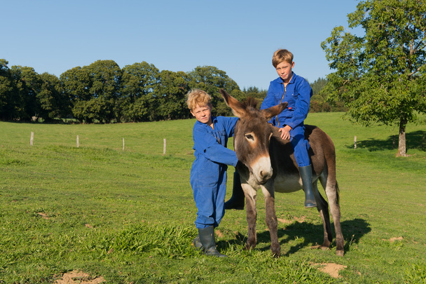 Farm Boys with their donkey - Φωτογραφία, εικόνα