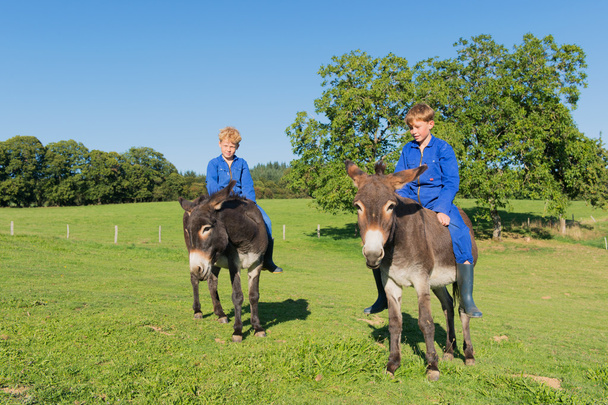Farm Boys with their donkeys - Fotoğraf, Görsel