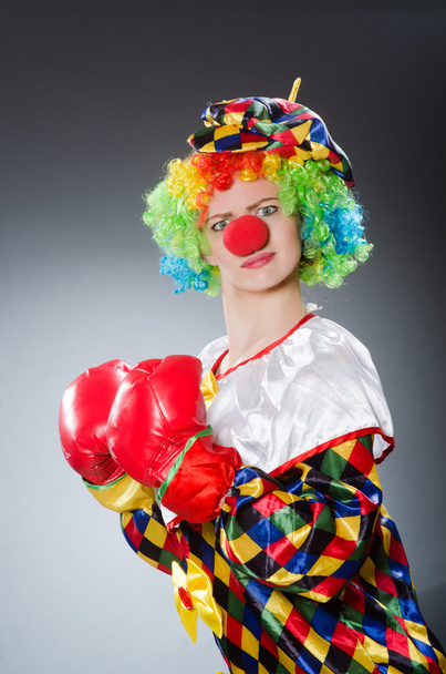 Clown avec gants de boxe dans un concept drôle
 - Photo, image