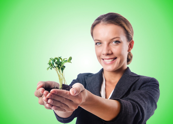 Businesswoman with seedling on green - Photo, Image