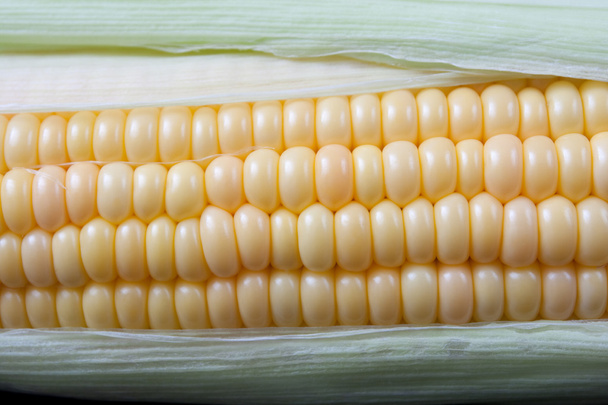 Corn - Fotografie, Obrázek