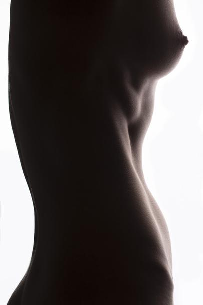 Cropped part of nude silhouette girl art portrait - Photo, Image