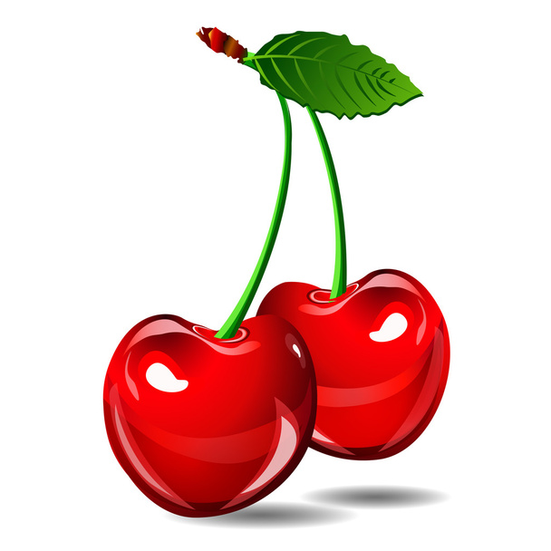 Cherry vector berry isoleren op witte achtergrond - Vector, afbeelding