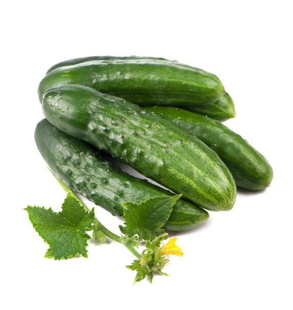 cucumber - Φωτογραφία, εικόνα