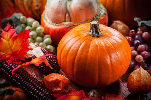 Citrouilles pour Thanksgiving et Halloween
 - Photo, image