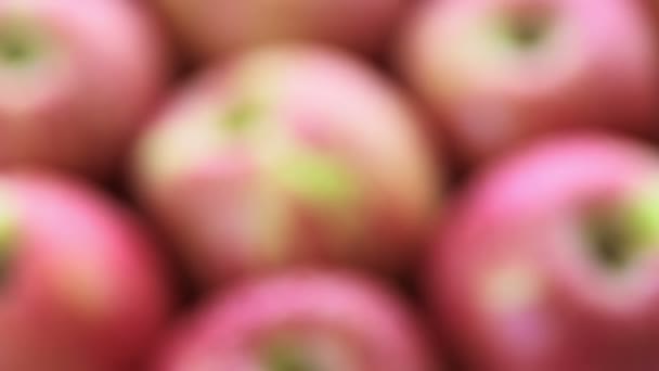 manzanas de gala orgánicas
 - Imágenes, Vídeo