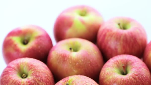 органические яблоки Гала
 - Кадры, видео