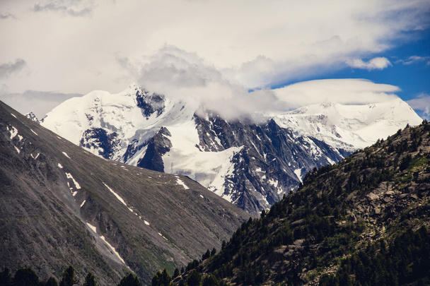 Крупный план высокогорья
 - Фото, изображение