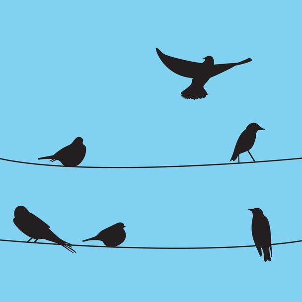 Birds on wires. - Vector, Image