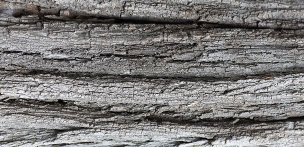 old wooden background texture with cracks - Foto, Bild