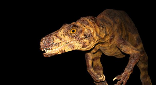 hladový herrerasaurus je na lovu na hřišti černé noční triasu - Fotografie, Obrázek
