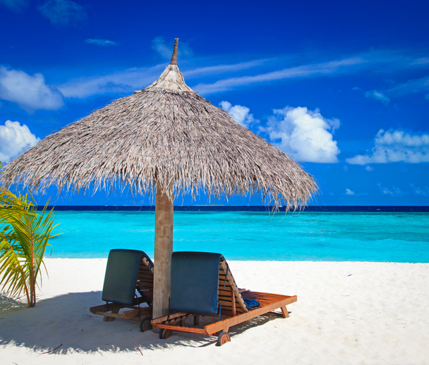 Beach chairs on tropical beach - Photo, Image