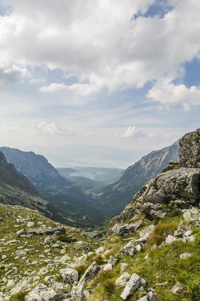 Tatra Dolina - Dolina Mieguszowiecką (Mengusovska dolina) - Zdjęcie, obraz