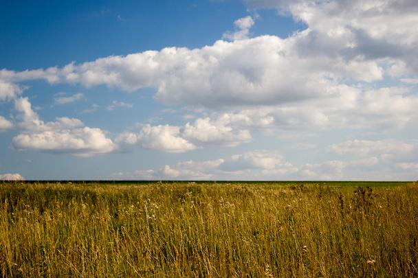 landscape, autumn yellow field after hay harvest - Zdjęcie, obraz