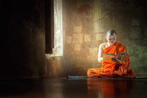 Monk - Фото, зображення