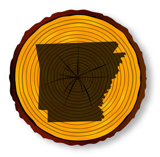 Arkansas mapa na dřevo konec sekce - Vektor, obrázek